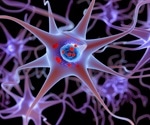Studying Alzheimer’s and Parkinson’s Disease using Pre-Formed Fibrils