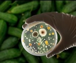 NMR Spectroscopy in the Search for Natural Food Preservatives