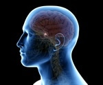 Pituitary Gland Hormones and Functions