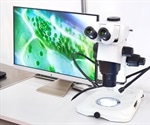 Economical Fluorescence Adapter for Stereo Microscopes