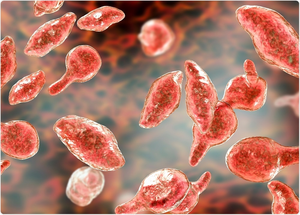 Mycoplasma image