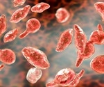 Mycoplasma in Cell Culture: Fighting Back with Rapid Detection Kits
