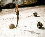 Gulf war illness – one or two diseases?