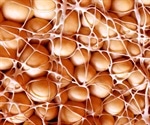 Why is Visceral Fat Dangerous?