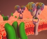 New Method of Creating Synthetic DNA Nanopores