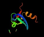 The Role of Polycombs in Cancer