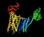 Developing the Next Generation of Water-soluble DREADDs