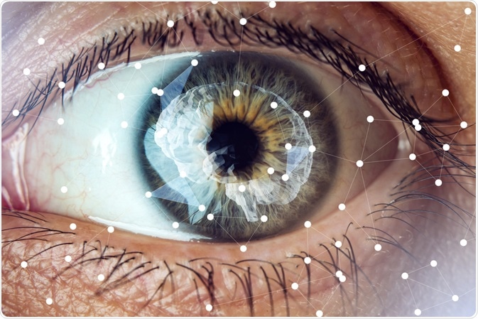 Image Credit: Artem Oleshko / Shutterstock.com