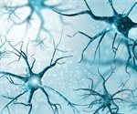 Answering the Biggest Neurological Research Questions of Today