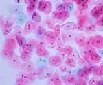 Seeing Individual Immune Cell Microenvironments