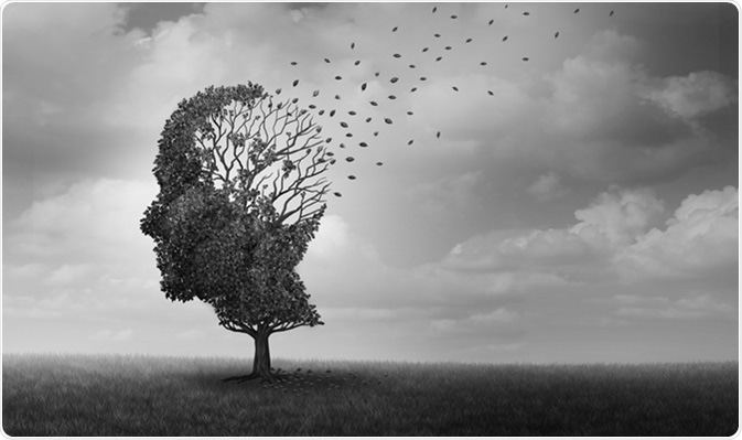 Image Credit: Lightspring / Shutterstock