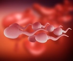 A single round of chemotherapy has no effect on sperm count, say researchers