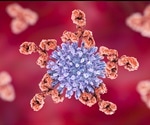 Custom-made proteins could result in antibodies that fight HIV