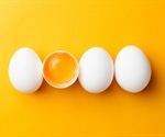 What to Eat on the Military Diet