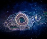 Rice University lab receives $1.9 million grant to model human ectodermal development