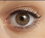 Preventing Ocular Hypertension