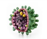 Disease X: an unknown disease that could claim millions of lives
