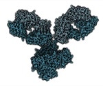 Designing a Multiplex Immunoassay: Factors to Consider