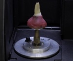 Studying Root Canal Anatomy with Non-Destructive Imaging Tools