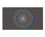 Research unravels neural mechanisms underlying illusions of complex-flow motion