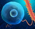 Call for a global alert on Ebola in Democratic Republic of Congo