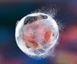 Identifying Processes Associated with Cell Apoptosis