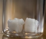 Plant cellulose bone implants are “viable” option to support new bone growth, study finds