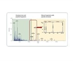 Supporting a New Classification Workflow for Glycopeptide Characterization