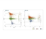 DIA Workflows Can Explore High Complexity Proteomes