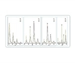 Quick Identification of Fraudulent Edible Oil