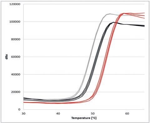 Melting curves of α-Chymotrypsinogen A under influence of different NaCl concentrations: 20 mM (grey), 500 mM (black) and 2 M (red)