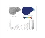 Preclinical Highlight on MALDI-TOF/TOF: Imaging Intact Proteins
