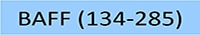 BAF-H4218-STC1
