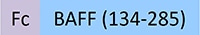 BAF-H4268-STC1