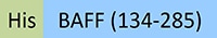 BAF-H5248-STC1