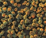 A High Resolution Look into Winemaking and Wine Growing