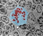 Microscopy and British History
