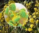 Allergen Detection Using LC-MS