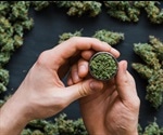 Daily marijuana use may increase risk of psychosis