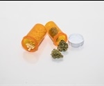 Impact of legalizing cannabis on the opioid crisis