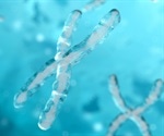 Genetic manipulation can double life expectancy and increase health of offspring