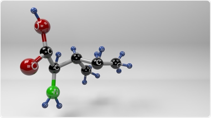 Isoleucine is an isomer of leucine