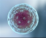 Autophagy Triggers