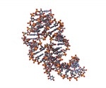 Limitations of Aptamers
