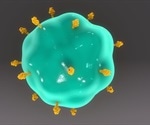 Flow Cytometry Cross-matching (FCXM)