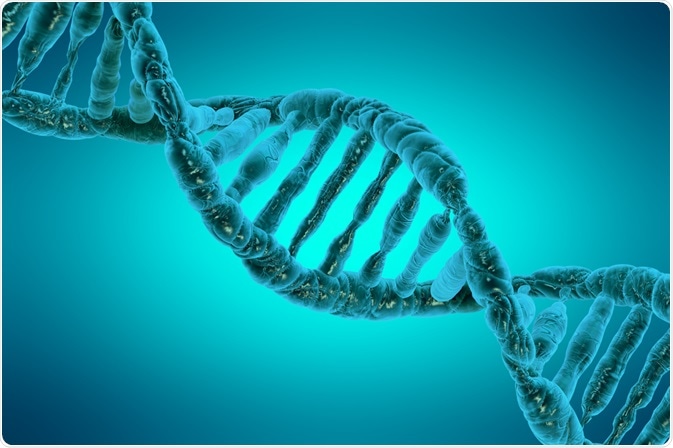 DNA helix