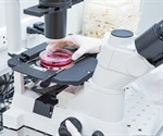 What are Cleanrooms?