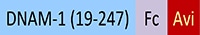 DN1-H82F9-STC1