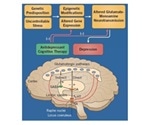 The Current and Future Targets of Antidepressants