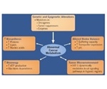 An Overview of Cancer Metabolism